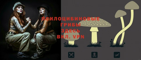 ГАЛЛЮЦИНОГЕННЫЕ ГРИБЫ Братск